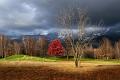 800 - BEFORE THE STORM1 - PETROVIC ZARKO - slovenia